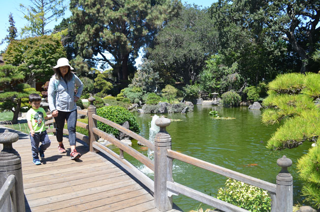The san mateo japanese garden, san mateo, ca