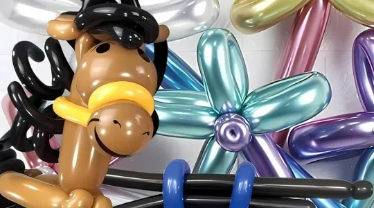 Balloon artist for hire